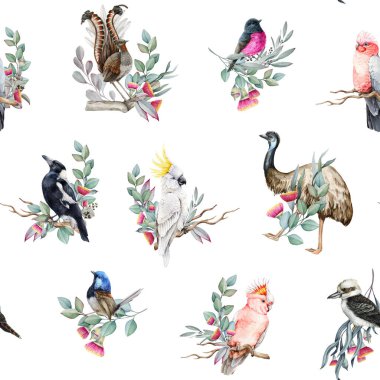 Avustralya 'nın yerli kuşları suluboya, kusursuz desenli. El yapımı papağan, yalıçapkını, saksağan, okaliptüs dallı devekuşu, beyaz arka planda çiçek dekoru. Tekstil ve dekor için mükemmel.