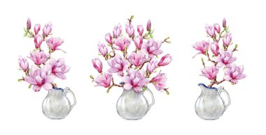 Vazo suluboya resimleme setinde pembe manolya çiçekleri. El yapımı klasik bahar sezonu. Manolyalar çiçek açıyor. Dekor elementleri. Bahar mevsimi çiçekleri beyaz arka planda kavanozda.