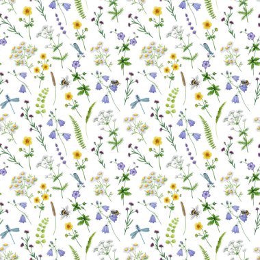 Çayır çiçekleri desensiz desen elementi. Elle çizilmiş suluboya klasik resim. Zarif kır çiçekleri, papatya çayı, çan çiçekleri, beyaz arka planda yaban arıları ve yusufçuklar..
