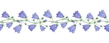Campanula mavi çan çiçekleri zarif, dikişsiz sınır dekoru elementi. Eski tarz suluboya resim. Zarif yaz çayır çiçekleri beyaz arka planda kusursuz sınır dekorasyonu.