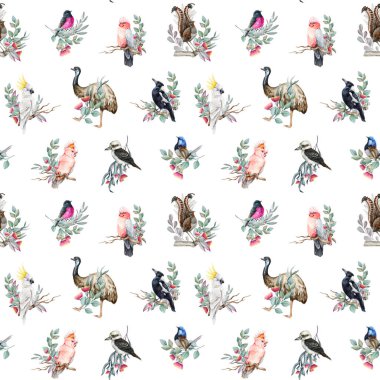 Avustralya 'nın yerli kuşları suluboya resimli, pürüzsüz desen dekoru elementi. El yapımı papağan, perili çalıkuşu, yalıçapkını, saksağan, okaliptüs dallı devekuşu, beyaz arka planda çiçekler..