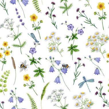 Çayır kır çiçekleri dikişsiz desenli suluboya resim. El çizimi papatya çayı, çan çiçeği, turna çiçeği çiçek, beyaz arka planda zarif bir süs..