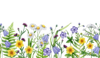 Çayır kır çiçekleri kusursuz sınır dekoru suluboya resim. El çizimi papatya çayı, çan çiçeği, çiçek açan turna çiçeği beyaz arka planda zarif dekorasyon elementi..
