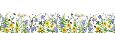 Çayır kır çiçekleri kusursuz sınır dekoru suluboya resim. El çizimi papatya çayı, çan çiçeği, turna çiçeği çiçekleri beyaz arka planda izole edilmiş zarif dekorasyon elementleri..