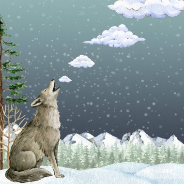 Kış manzarası suluboya illüstrasyonunda uluyan kurt. Kışın karla kaplı kozalaklı ormanda el yapımı gri kurt. Kış mevsiminde vahşi yaşam hayvanı.