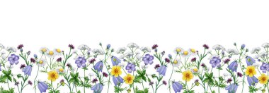 Çayır kır çiçekleri kusursuz sınır dekoru suluboya çizimi. El çizimi papatya çayı, çan çiçeği, çiçek açan turna çiçeği beyaz arka planda zarif dekorasyon elementi..