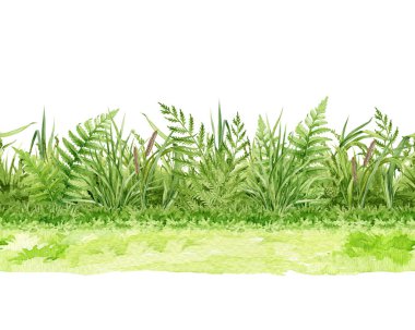 Taze yeşil çayır çimenleri kusursuz sınır elementi suluboya çizimi. Taze çimenler, tarlalar, tarım arazisi elementleri beyaz arka planda izole edilmiş..