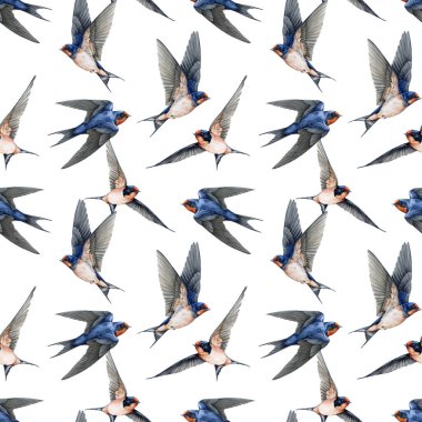 Uçan kırlangıç kuşları kusursuz desen elementleri. Suluboya resim. Şirin ahır, beyaz arka planda açık kanatlı çeşitli pozlar yutar. Vahşi yaşam Martin Bird 'ün klasik dekorasyonu..