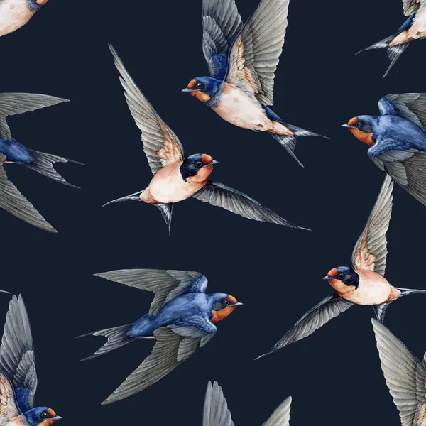 Uçan kırlangıç kuşları kusursuz desen elementleri. Suluboya çizimi. Şirin ahır, arka planda açık kanatlı çeşitli pozlar yutar. Vahşi yaşam uçan Martin Bird 'ler klasik dekorasyon..