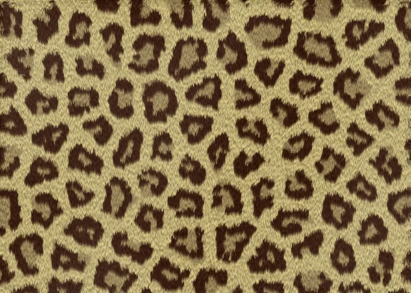 Панорама Текстуры Меха Животных — стоковое фото