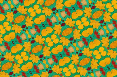 Sarı, kırmızı yapraklı sonbahar modeli. Firavun külahları ve yazıt için beyaz bir sayfa..