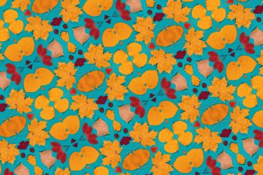 Sarı, kırmızı yapraklı sonbahar modeli. Firavun külahları ve yazıt için beyaz bir sayfa..