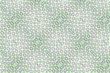 desen çok renkli lastik bant