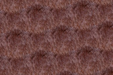 Doğal, güzel, parlak vizonun dokusu.