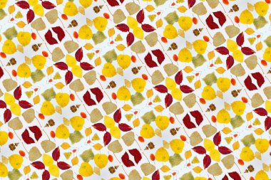 Sarı, kırmızı yapraklı sonbahar modeli. Firavun külahları ve yazıt için beyaz bir sayfa..