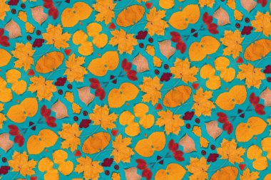 Sarı, kırmızı yapraklı sonbahar modeli. Firavun külahları ve yazıt için beyaz bir sayfa..