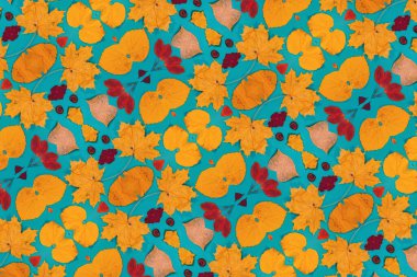 Sarı, kırmızı yapraklı sonbahar modeli. Firavun külahları ve yazıt için beyaz bir sayfa..