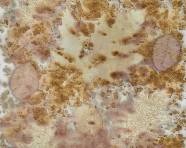 Eko-baskı tekniği kullanılarak elle boyanmış kumaş parçası.