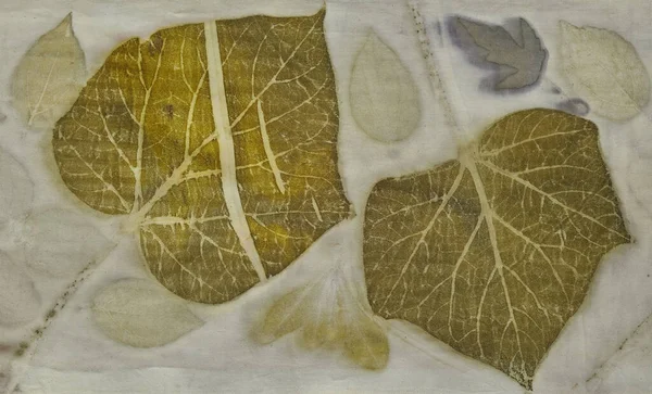 stock image Fragment of hand-dyed fabric using eco-print technique