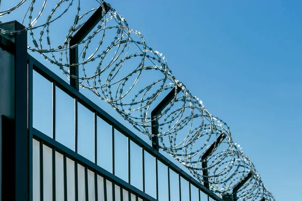 Barbed Wire Iron Fence Background Blue Sky — Fotografia de Stock