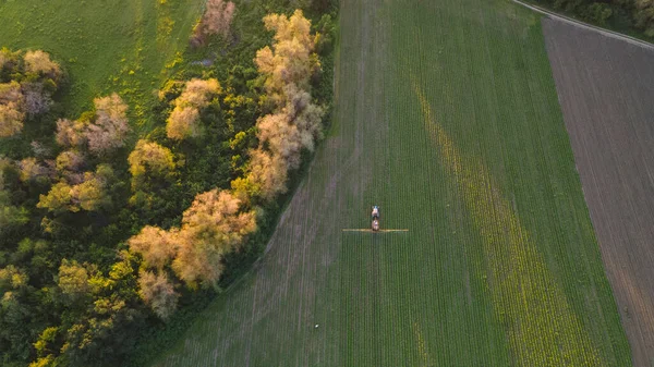 Orman Kuşağının Yakınındaki Fidelerle Bir Tarlada Traktör Gezintisi Yukarıdan Görüntüle — Stok fotoğraf