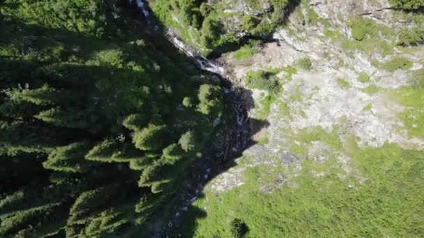 瀑布在长满冷杉的岩石之间流过 从上面看 — 图库视频影像