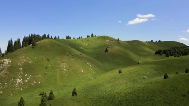 Yeşil Otlarla Kaplı Dağ Tepeleri Yukarıdan Aşağıya Hareket — Stok video