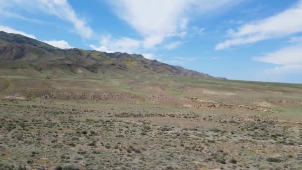 山の近くの植生と砂漠 曇った空を背景に — ストック動画