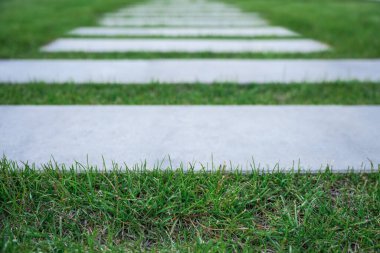 Bahçedeki çimenler yol için dekoratif plakalar arasında. Peyzaj tasarımı