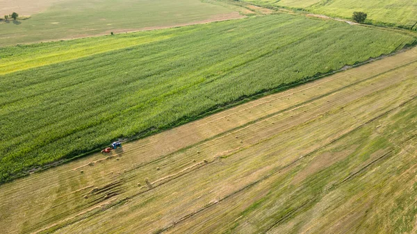 Tractor Stands Mowed Field Harvest Time — Stock Photo, Image