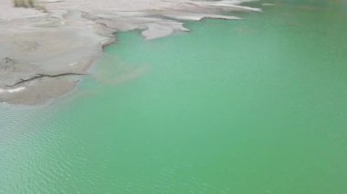 Huş ağacı suyu olan bir dağ gölünün kıyısında. Vahşi yaşam