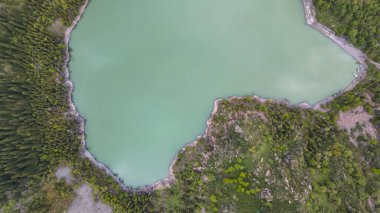 Kıyısında ladin ağaçları olan dağ gölü. Vahşi yaşam