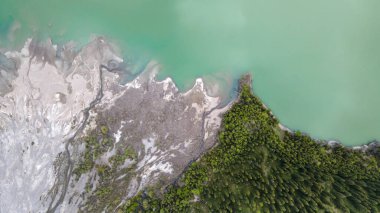Nehir kıyıda ladin ağaçları olan bir dağ gölüne akar. Vahşi yaşam.