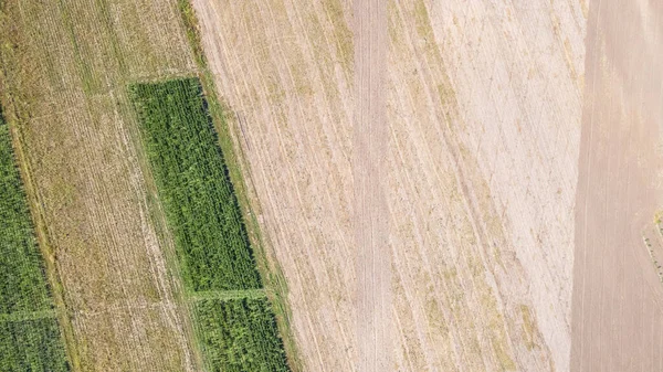 Plots Plowed Fields View Drone Agricultural Business — Stock Photo, Image