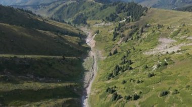 Yamaçlarda çam ağaçları olan bir kanyonun üzerinde uçuyorlar. Dağlık arazi