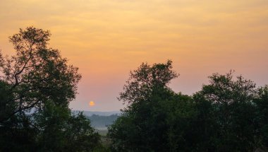 Vahşi doğada ufkun arkasından gün doğumu.