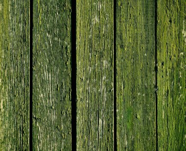 Çit tahtalarından çıkan yeşil boya. Tahta tahıl                            