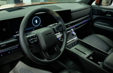 Almatı, Kazakistan - 14 Mart 2025: Hyundai Santa Fe 'de çoklu tekerlek. Koreli araba üreticisi                            