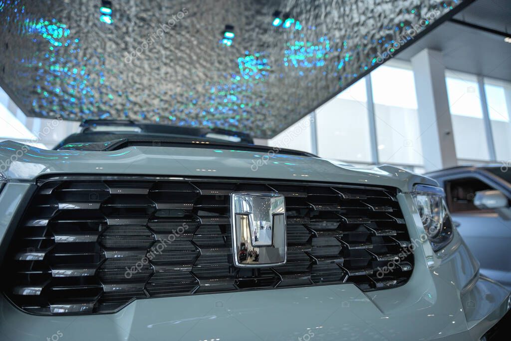 Almaty, Kazakhstan - May 29, 2025: Tank 700 emblem on the radiator grille. Chinese car brand