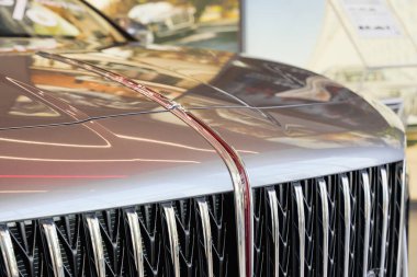 Almaty, Kazakistan - 11 Haziran 2025: Gümüş Hongqi arabasının ön amblemi. Çinli otomobil üreticisi                            