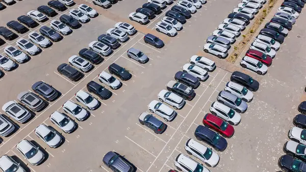 Almaty, Kazakistan - 3 Temmuz 2025: distribütörün otoparkında sıra sıra arabalar. Elektrikli araç. Üst görünüm