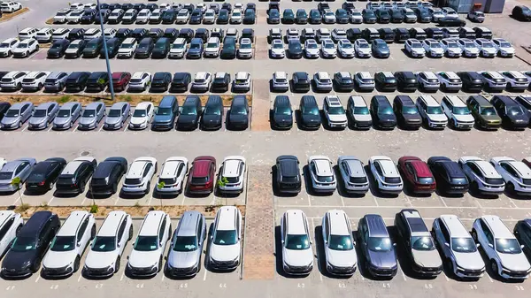 Almaty, Kazakistan - 3 Temmuz 2025: Fabrika otoparkında yeni arabaların sıraları. Elektrikli araç. Yukarıdan görüntüle