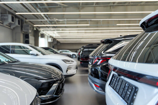 Алматы, Казахстан - 28 июля 2025 года: Различные автомобили Hyundai на автостоянке. Автопроизводитель Кореи                         