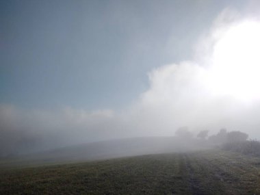 Ormanda sis. Ağaçların arkasındaki güneş ışınları. Slovakya