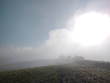 Ormanda sis. Ağaçların arkasındaki güneş ışınları. Slovakya