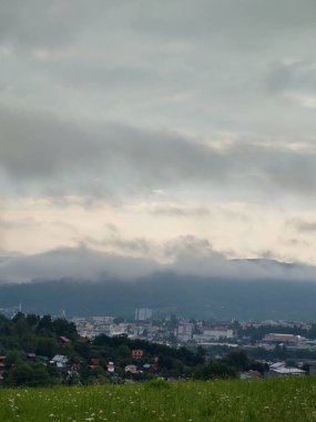Ormanda sis. Ağaçların arkasındaki güneş ışınları. Slovakya