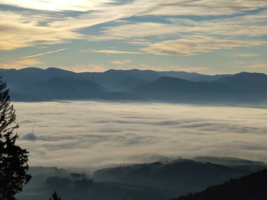 Ormanda sis. Ağaçların arkasındaki güneş ışınları. Slovakya