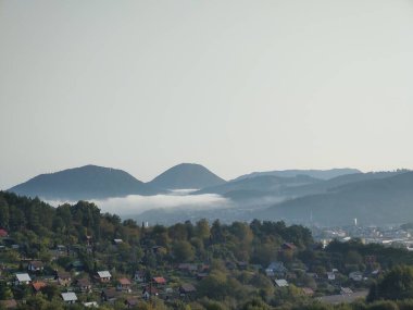 Ormanda sis. Ağaçların arkasındaki güneş ışınları. Slovakya