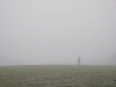 Ormanda sis. Ağaçların arkasındaki güneş ışınları. Slovakya