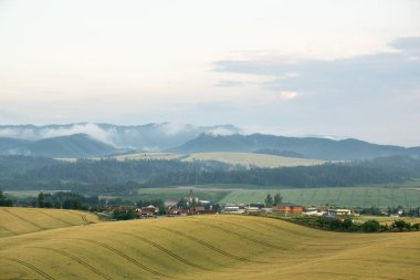 Ormanda sis. Ağaçların arkasındaki güneş ışınları. Slovakya
